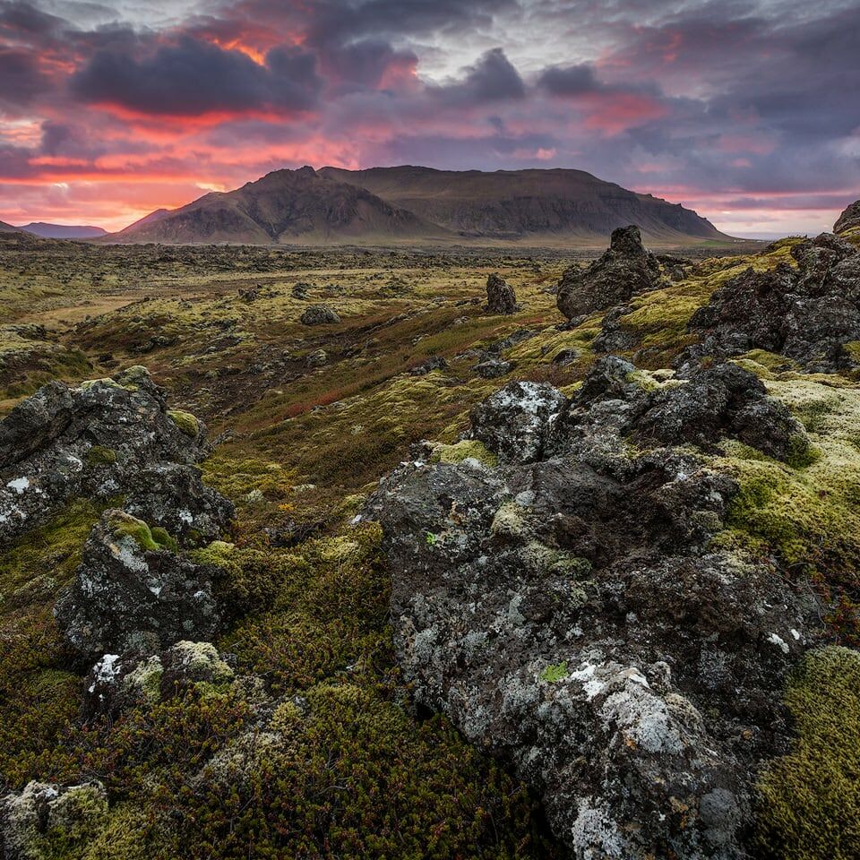 Berserkjahraun lava field at sunset